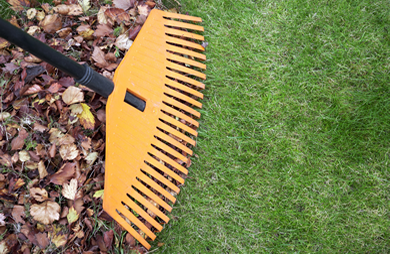Yard Cleaning Canberra