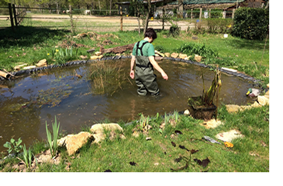 Pond Cleaning Canberra
